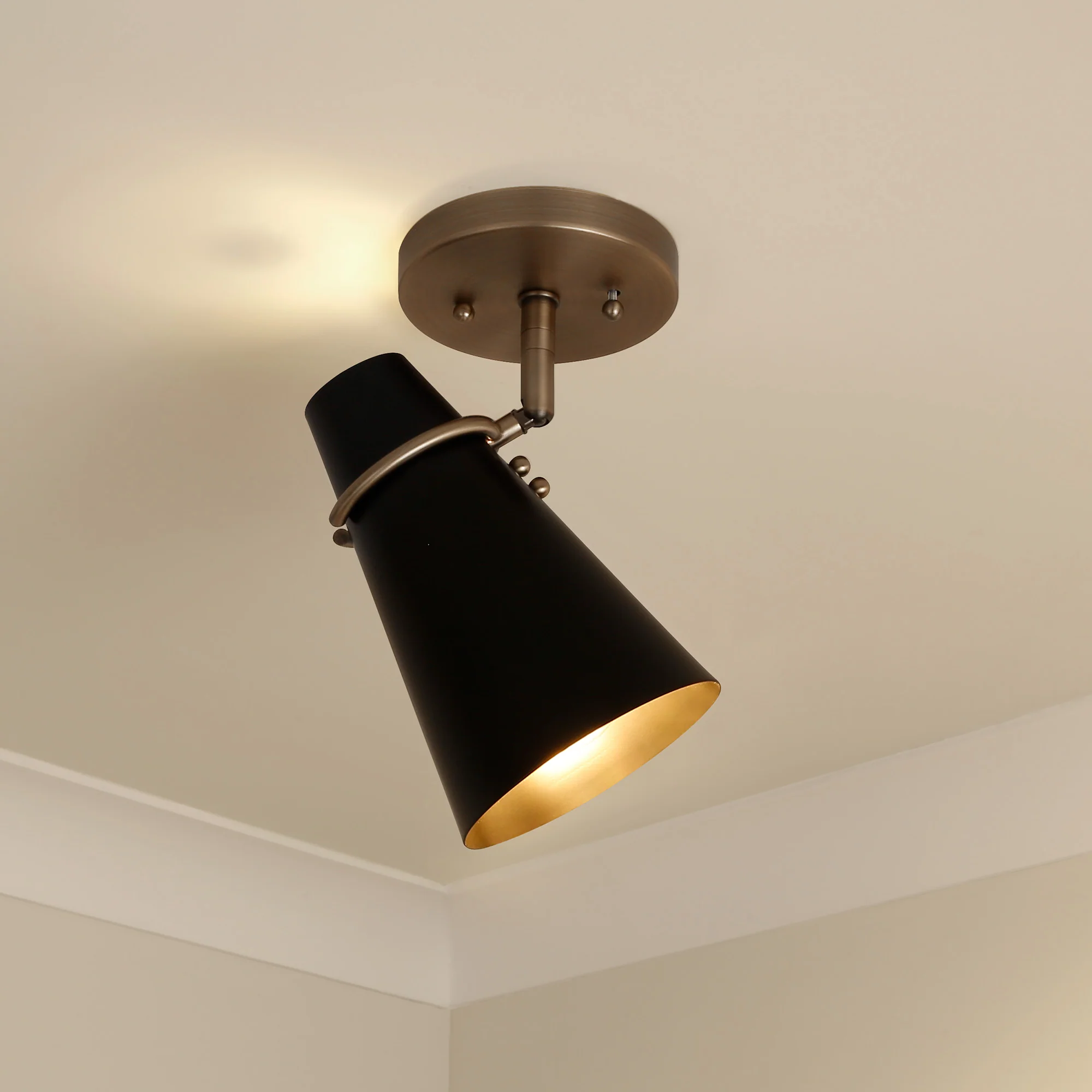Golden Lighting Reeva 1-light Semi-Flush Mount in Modern Brass and Matte Black shade - Image 2